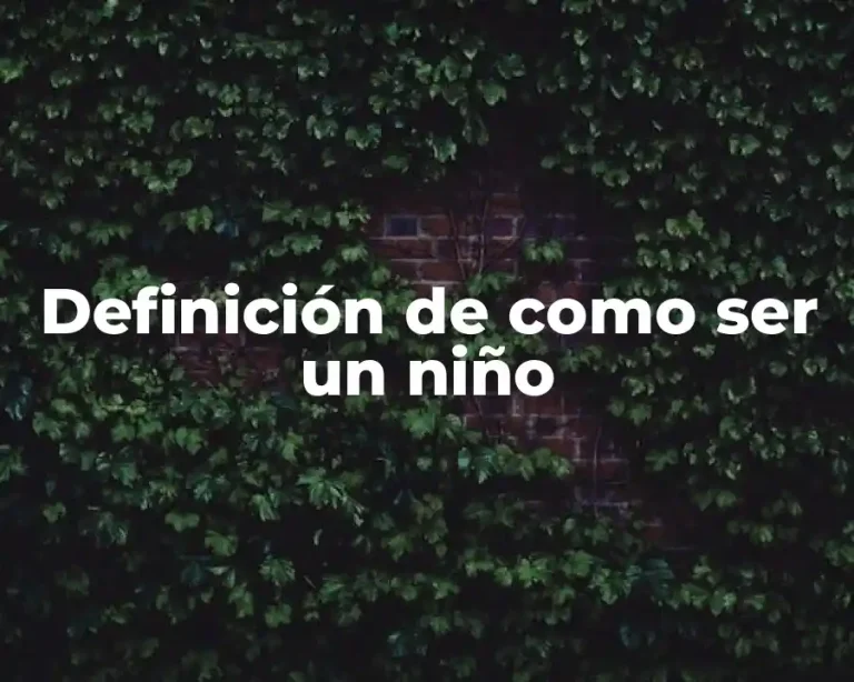 Definición de como ser un niño