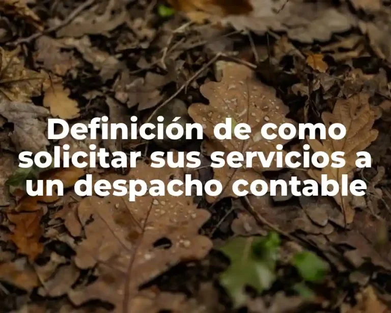 Definición de como solicitar sus servicios a un despacho contable