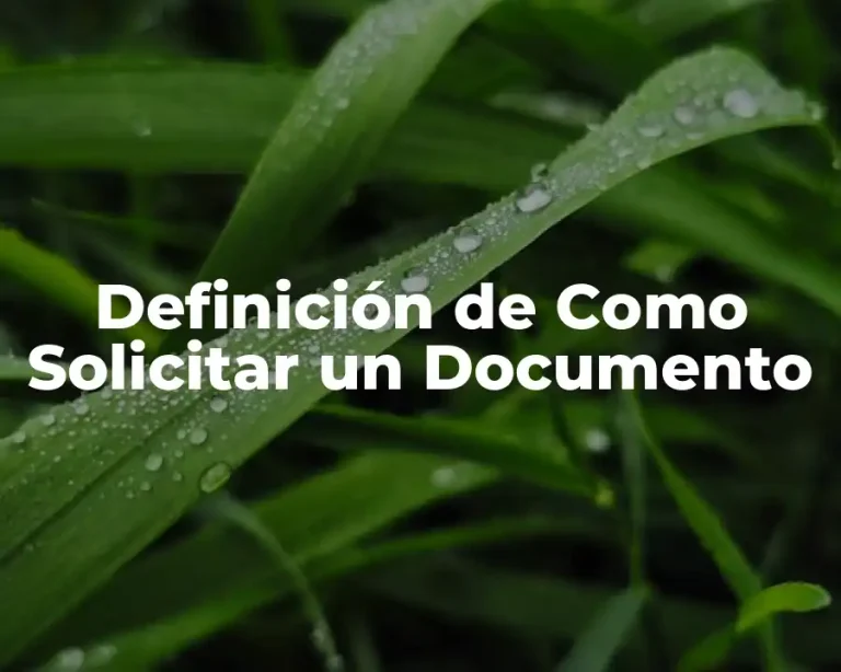 Definición de Como Solicitar un Documento