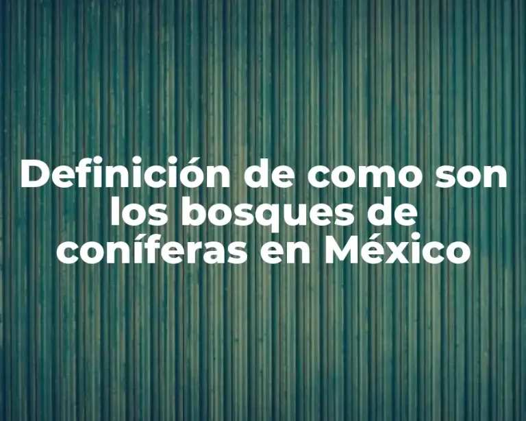 Definición de como son los bosques de coníferas en México
