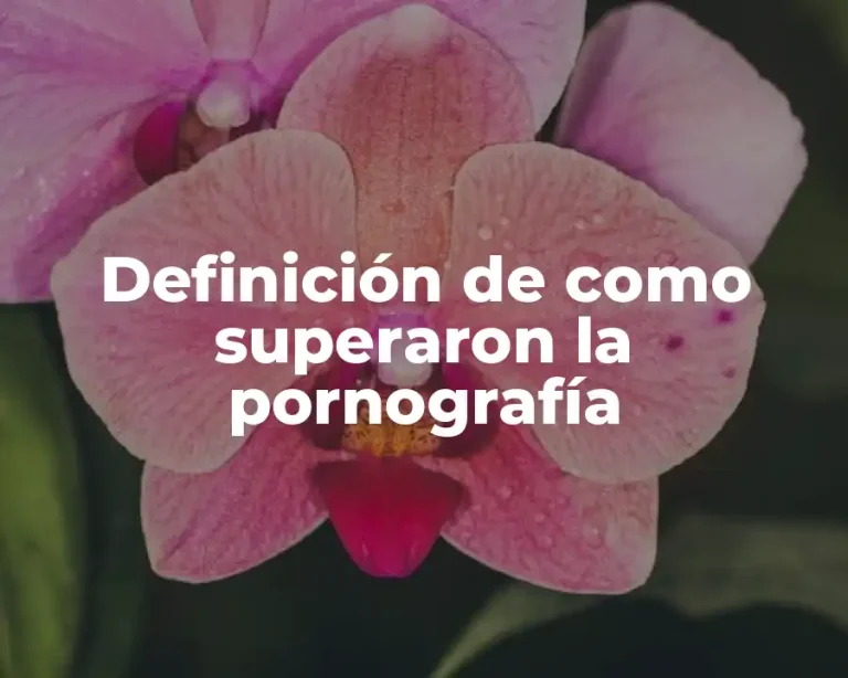 Definición de como superaron la pornografía