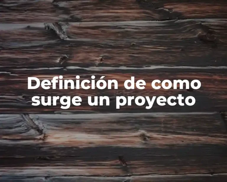 Definición de como surge un proyecto