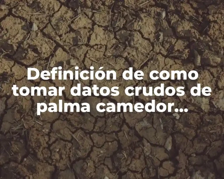 Definición de como tomar datos crudos de palma camedor quezalteca