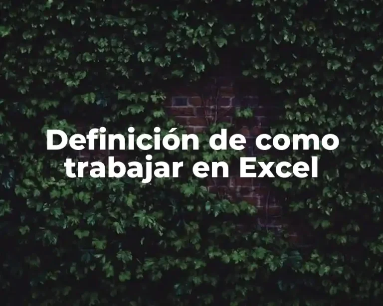 Definición de como trabajar en Excel