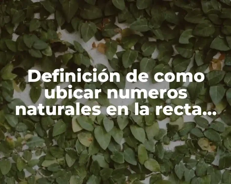 Definición de como ubicar numeros naturales en la recta numerica