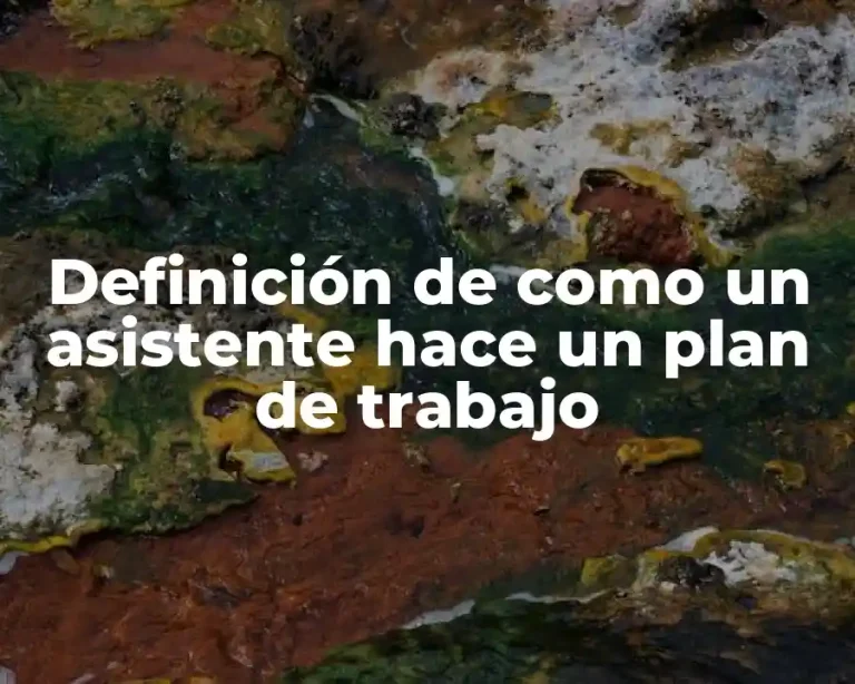 Definición de como un asistente hace un plan de trabajo