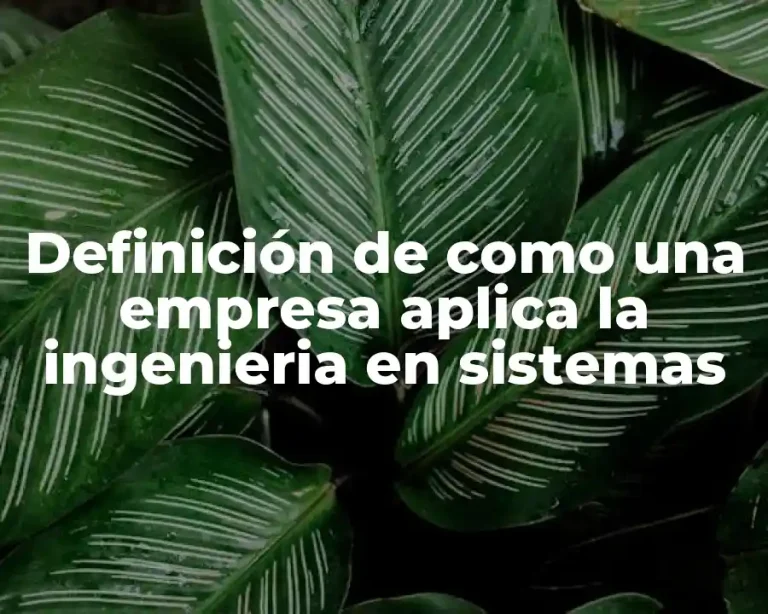 Definición de como una empresa aplica la ingenieria en sistemas
