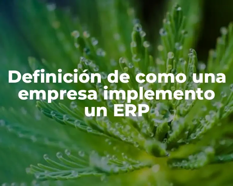 Definición de como una empresa implemento un ERP