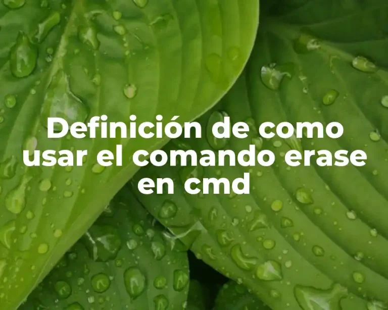 Definición de como usar el comando erase en cmd