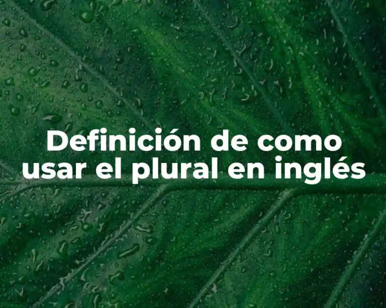 Definición de como usar el plural en inglés