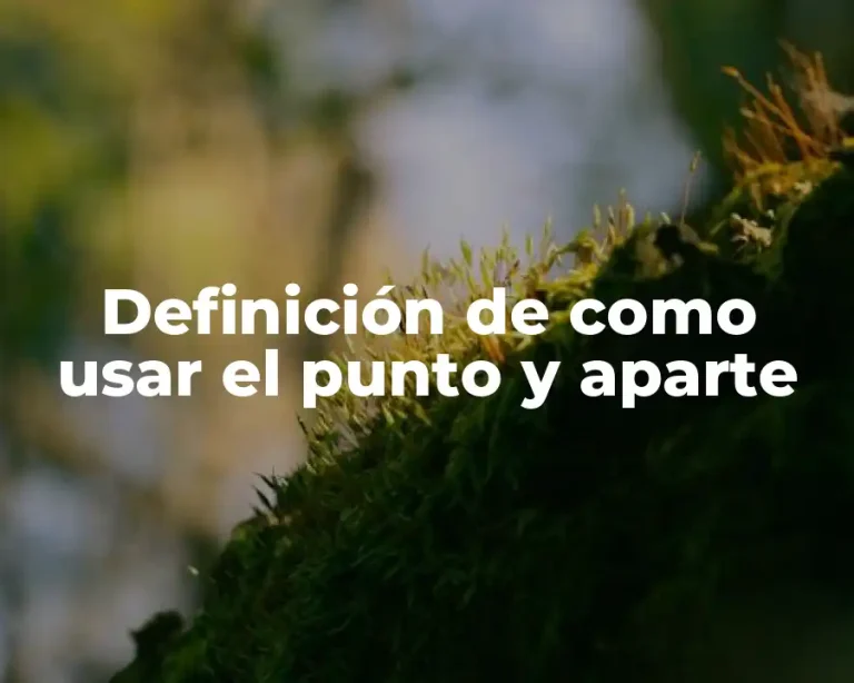 Definición de como usar el punto y aparte