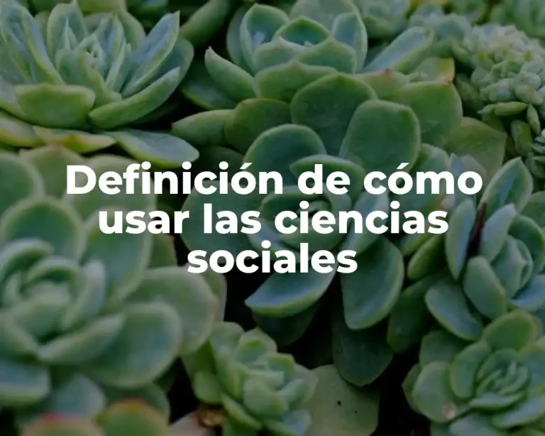 Definición de cómo usar las ciencias sociales