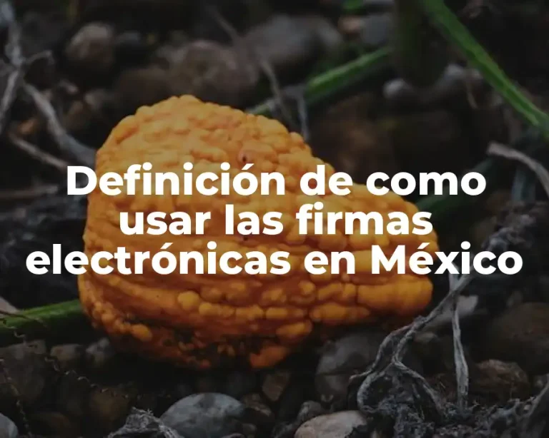 Definición de como usar las firmas electrónicas en México