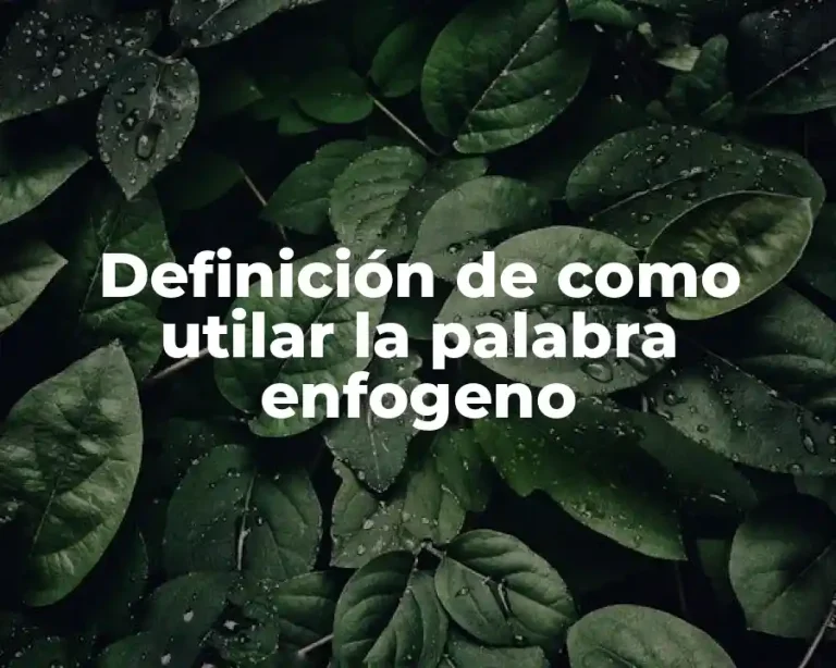 Definición de como utilar la palabra enfogeno