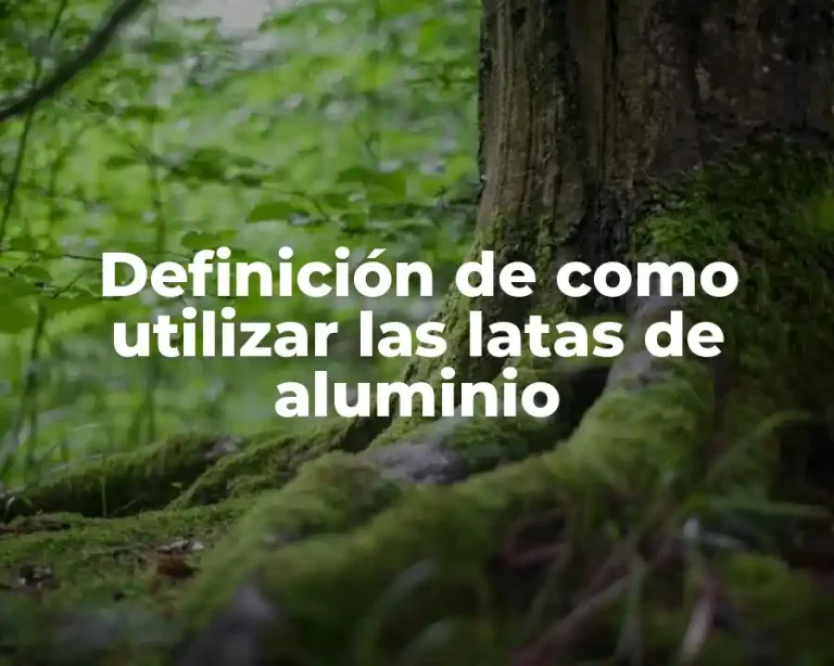 Definición de como utilizar las latas de aluminio