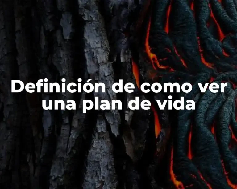 Definición de como ver una plan de vida