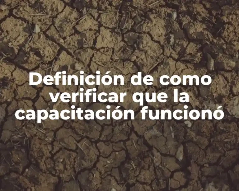 Definición de como verificar que la capacitación funcionó