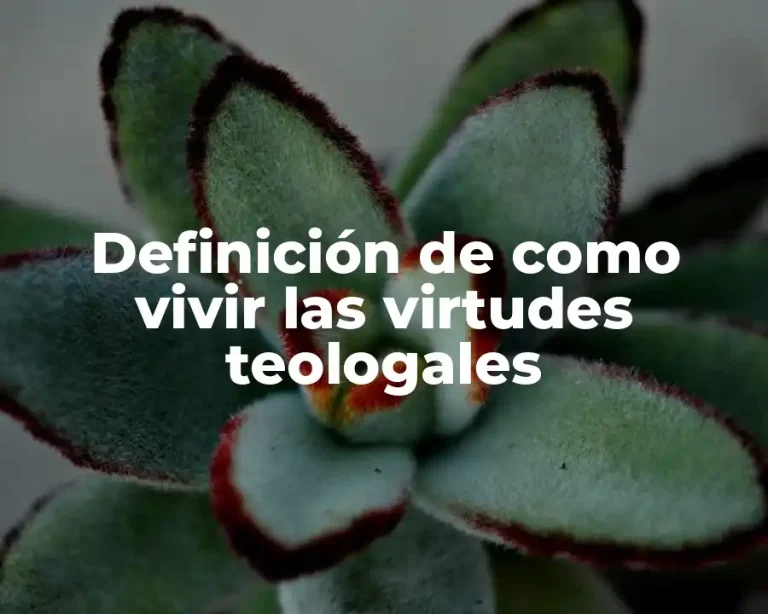 Definición de como vivir las virtudes teologales