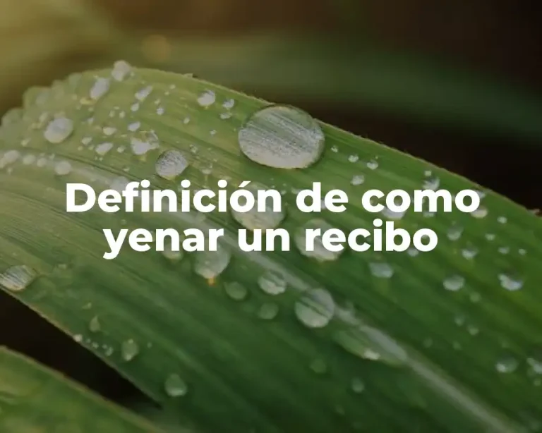 Definición de como yenar un recibo