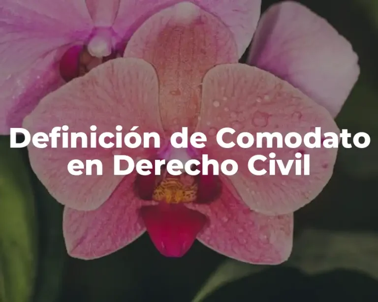 Definición de Comodato en Derecho Civil