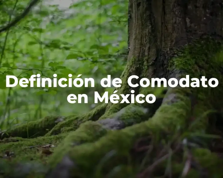 Definición de Comodato en México