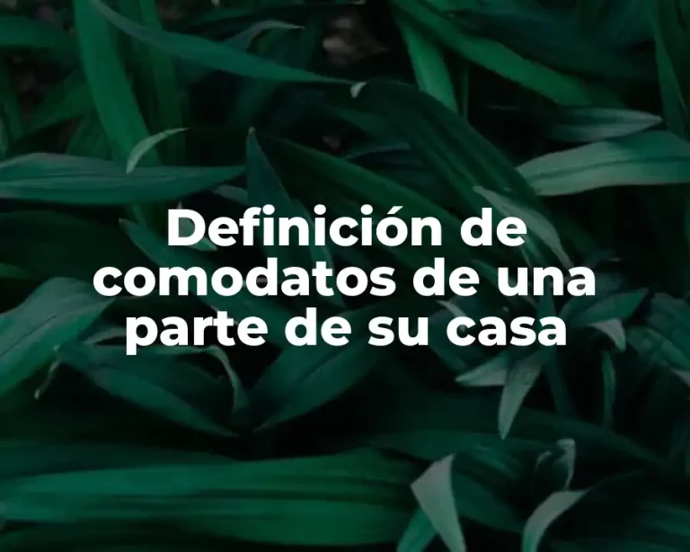 Definición de comodatos de una parte de su casa