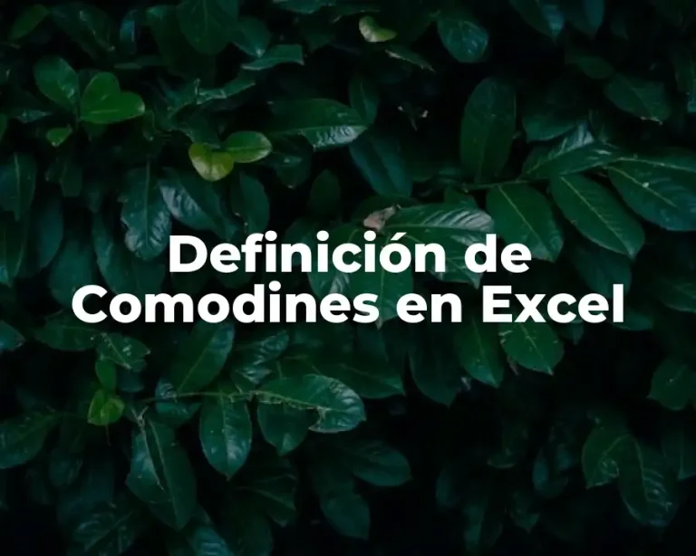 Definición de Comodines en Excel