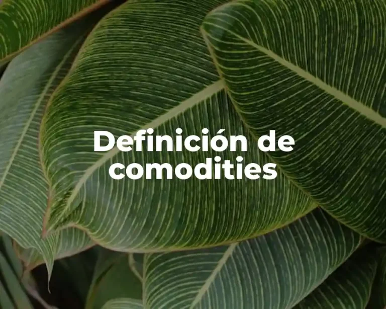 Definición de comodities