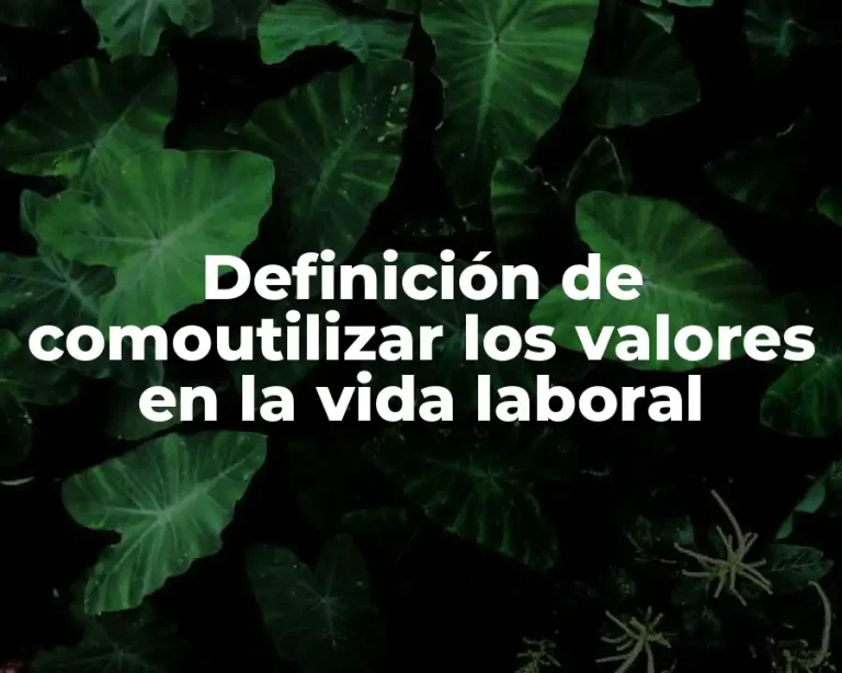 Definición de comoutilizar los valores en la vida laboral