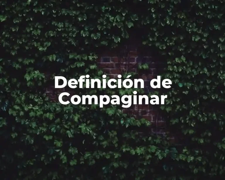 Definición de Compaginar