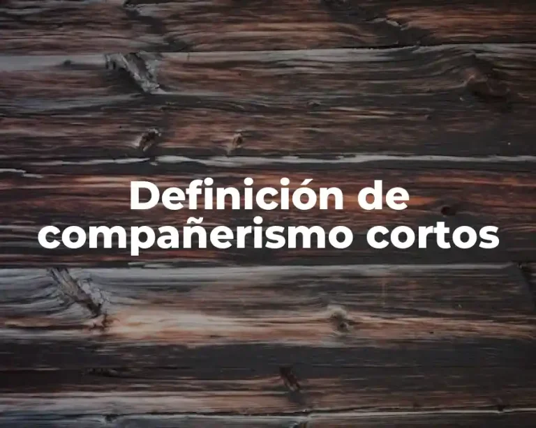 Definición de compañerismo cortos