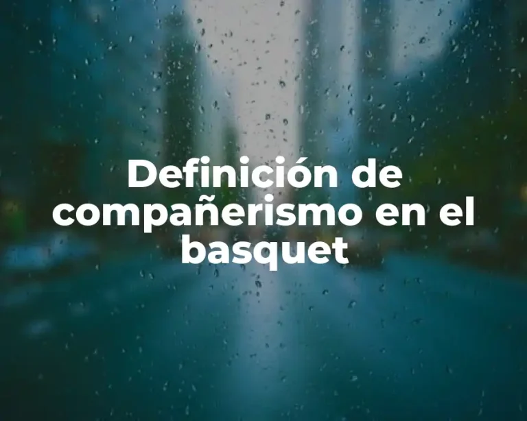 Definición de compañerismo en el basquet