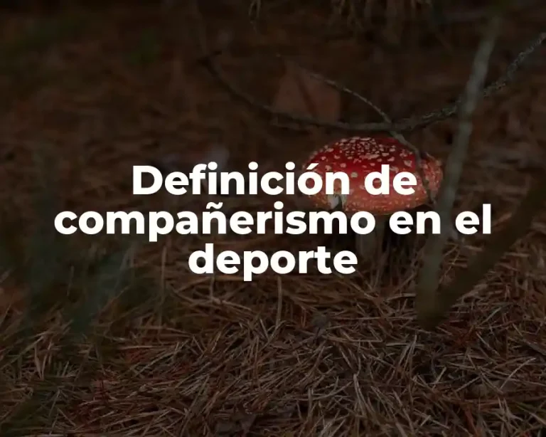 Definición de compañerismo en el deporte