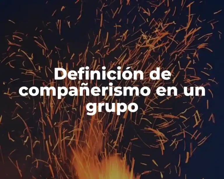 Definición de compañerismo en un grupo