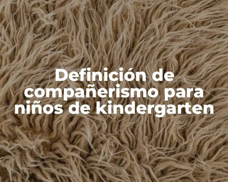 Definición de compañerismo para niños de kindergarten