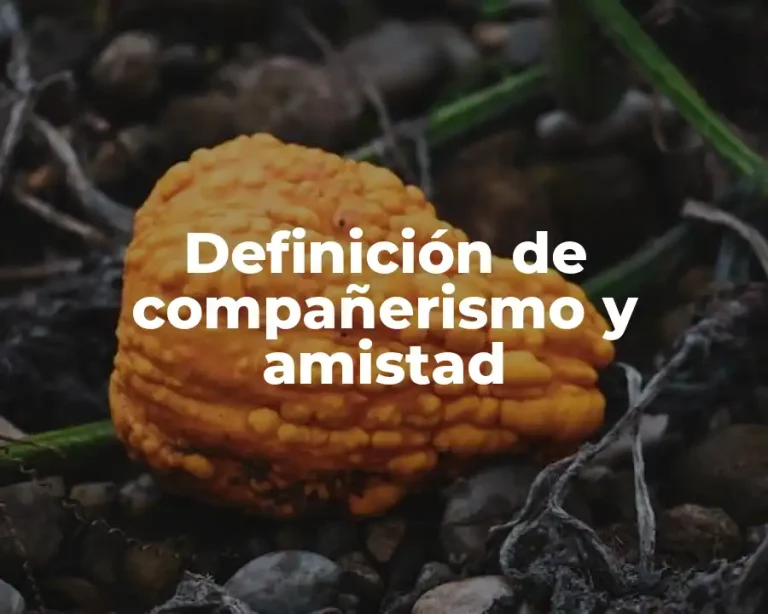 Definición de compañerismo y amistad