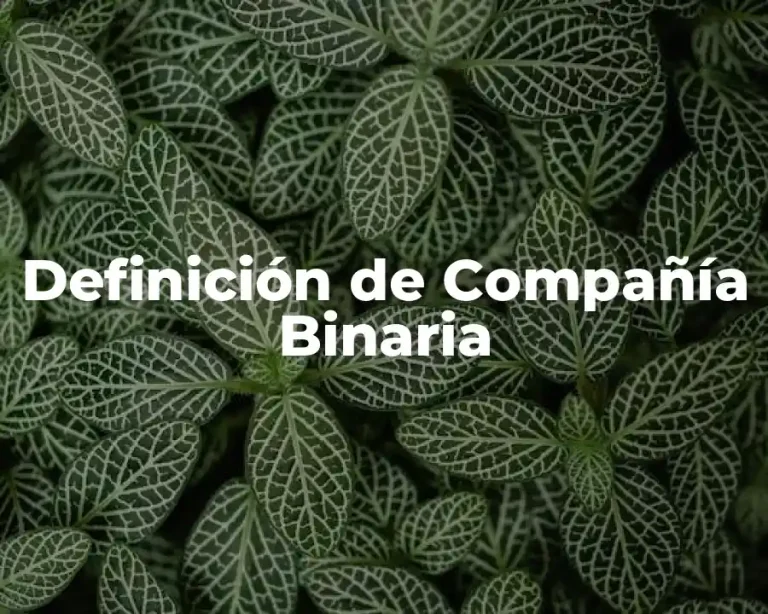 Definición de Compañía Binaria