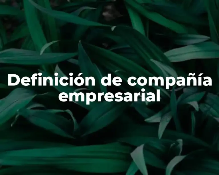 Definición de compañía empresarial
