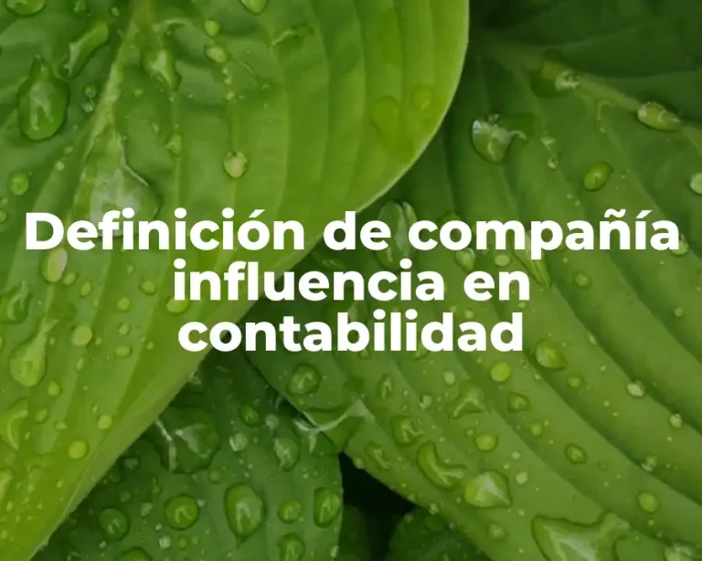 Definición de compañía influencia en contabilidad