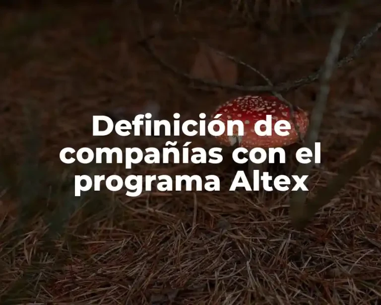 Definición de compañías con el programa Altex