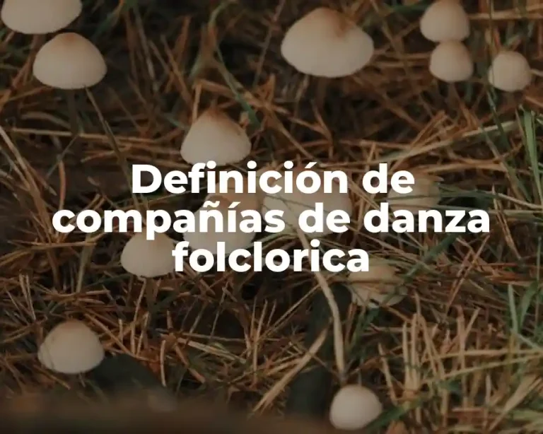 Definición de compañías de danza folclorica