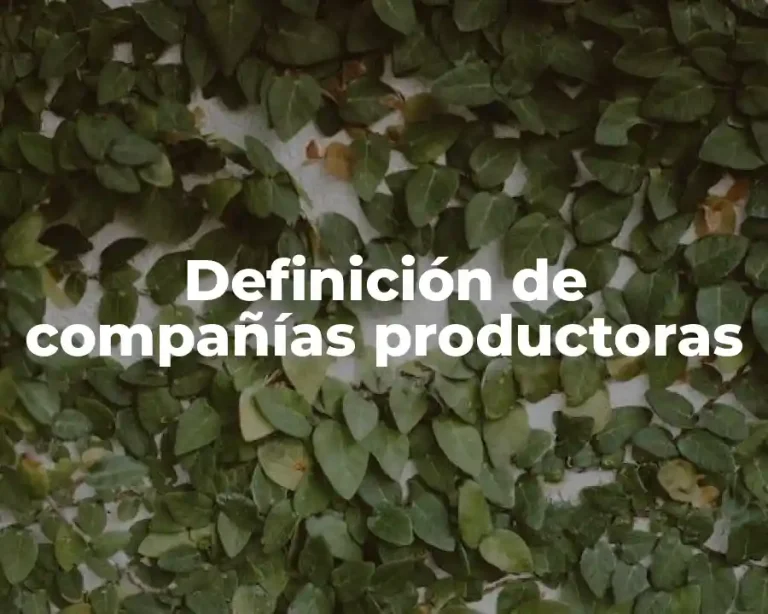 Definición de compañías productoras