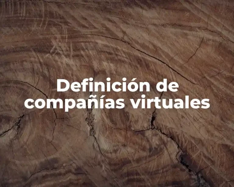 Definición de compañías virtuales