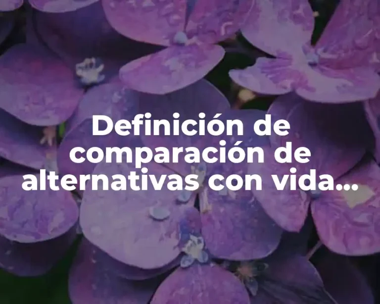 Definición de comparación de alternativas con vida útiles diferentes
