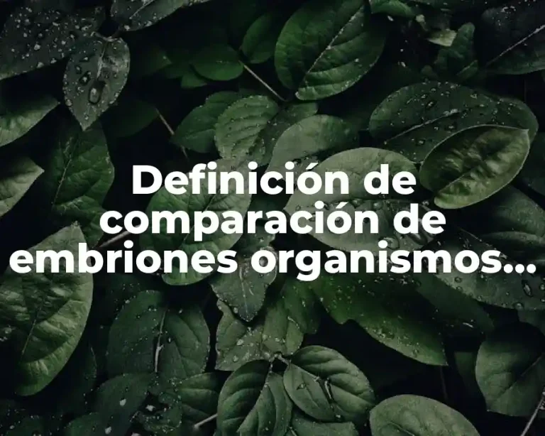 Definición de comparación de embriones organismos que tienen