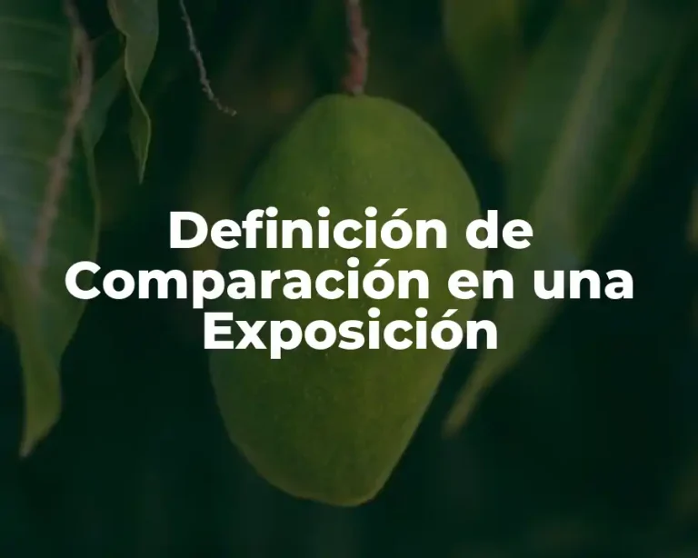 Definición de Comparación en una Exposición