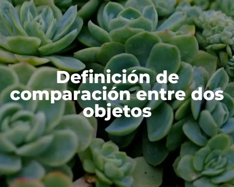 Definición de comparación entre dos objetos