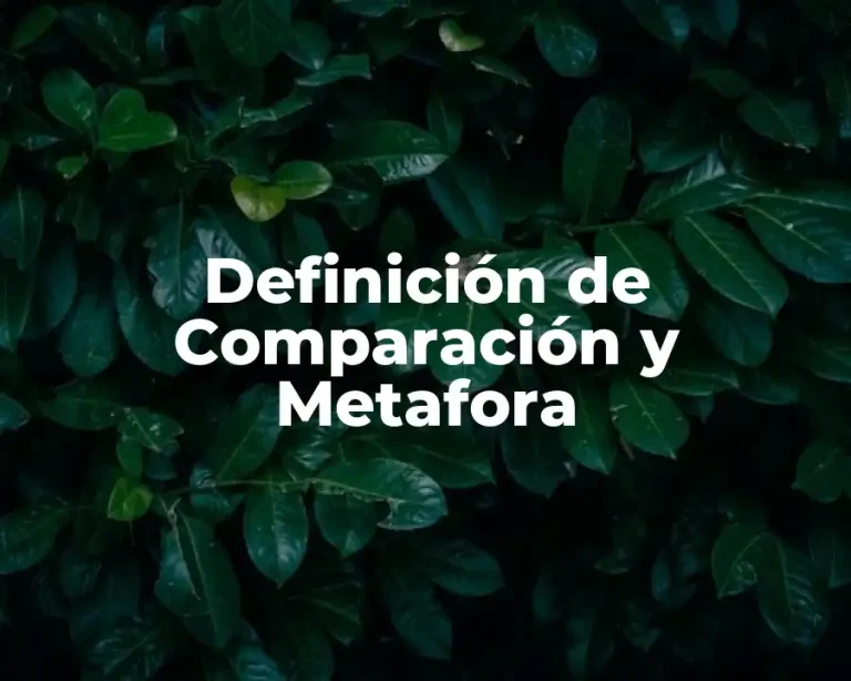 Definición de Comparación y Metafora