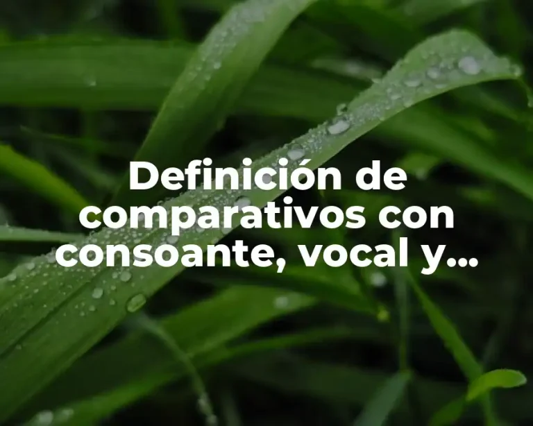 Definición de comparativos con consoante, vocal y consonante