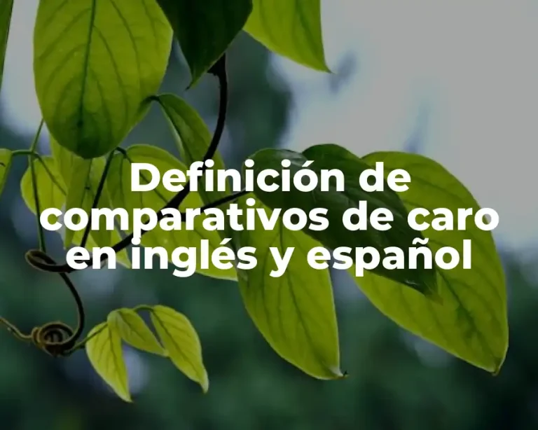 Definición de comparativos de caro en inglés y español